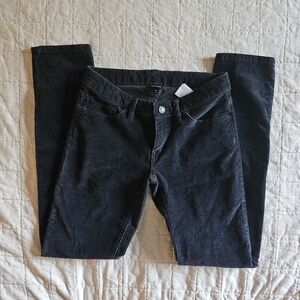 Patagonia corduroy pants